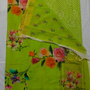 Digital print  Nizam Border